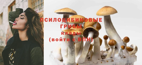 мескалин Дмитров