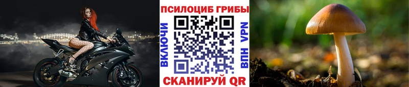 Купить закладки  Завитинск  Галлюциногенные грибы ЛСД 